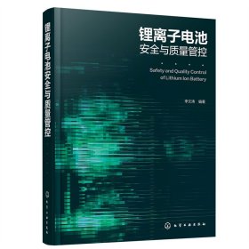 正版 锂离子电池安全与质量管控 李文涛 编著 化学工业出版社