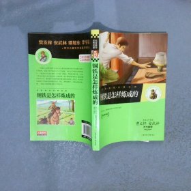 名家推荐世界名著：钢铁是怎样炼成的