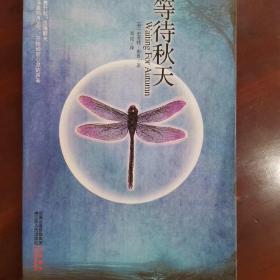 等待秋天：被译成20多种语言，全球突破7000万册的超级畅销书