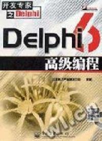 Delphi 6 高级编程