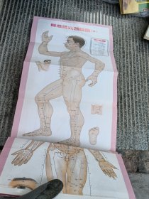 图解经络穴位按摩速查手册