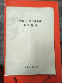 沂源县三级干部会议典型材料