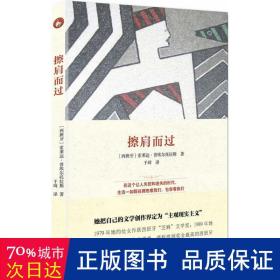 擦肩而过 外国现当代文学 (西)索莱达·普埃尔托拉斯(soledad puertolas)