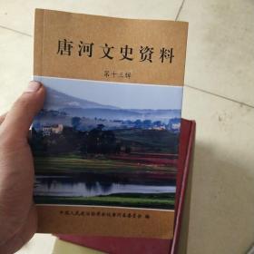 唐河文史资料第十三辑