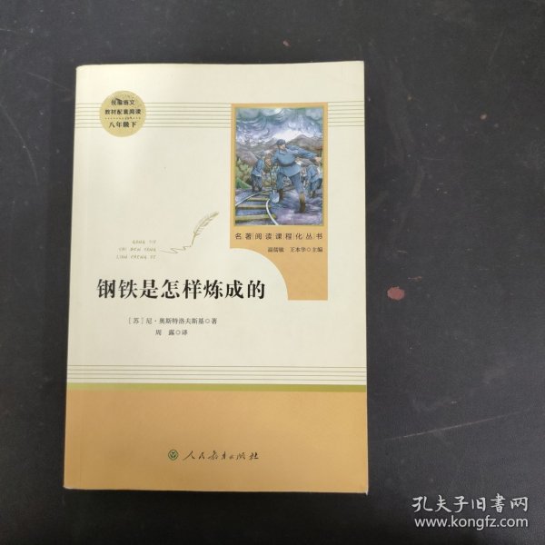 统编语文教材配套阅读 八年级下：钢铁是怎样炼成的/名著阅读课程化丛书