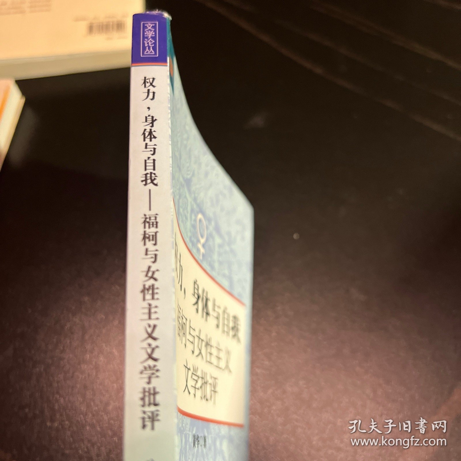 权力，身体与自我：福柯与女性主义文学批评