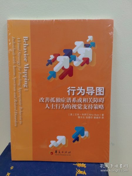 行为导图：改善孤独症谱系或相关障碍人士行为的视觉支持策略（全新塑封）