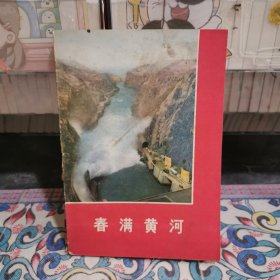 春满黄河