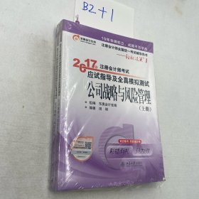 套装2本 上下册东奥会计在线 轻松过关1 2017年注册会计师考试教材辅导 应试指导及全真模拟测试：公司战略与风