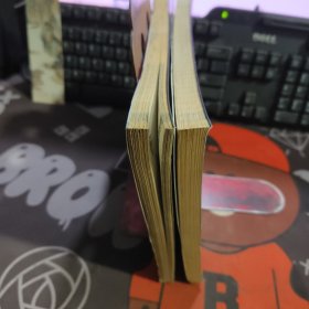新视界文丛：梦幻之城 当代城市审美文化的批评性考察+永远的前卫 中国现代艺术的反思与批判（2册合售 一版一印）有瑕疵