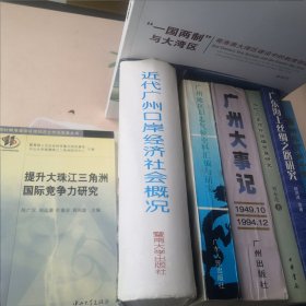 提升大珠江三角洲国际竞争力研究