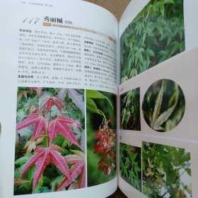 宁波植物图鉴（第三卷）