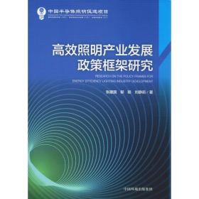 高效照明产业发展政策框架研究 水利电力 张建国,郁聪,刘静茹