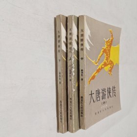 大唐游侠传 上中下