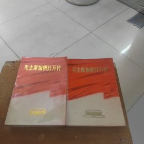 毛主席旗帜红万代上下册