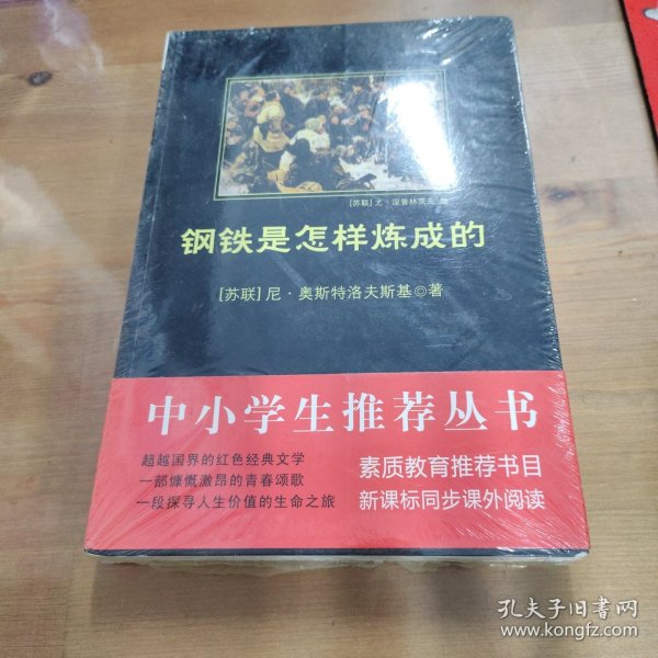 钢铁是怎样炼成的