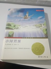 国际大奖小说（升级版）--小河男孩