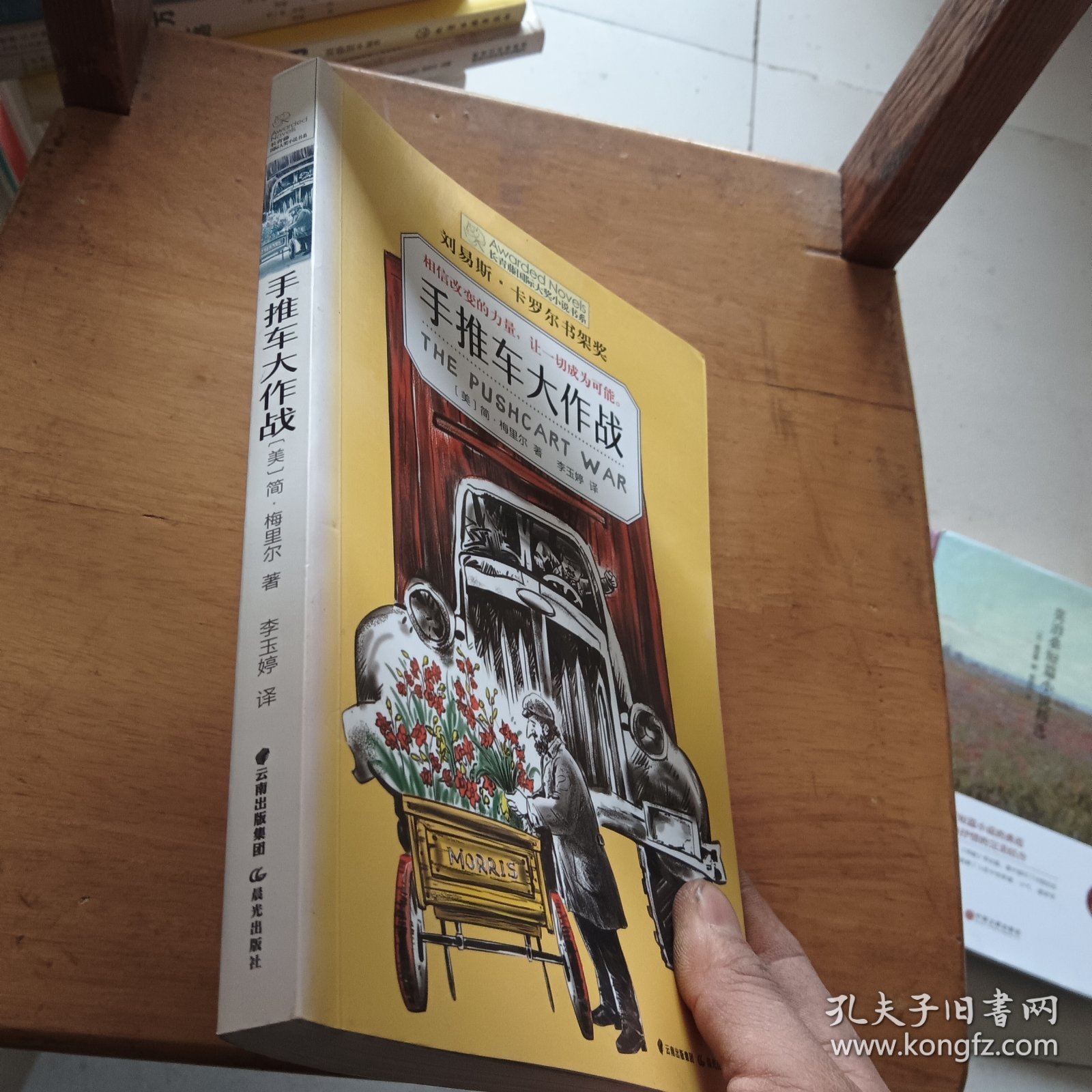 长青藤国际大奖小说书系：手推车大作战（刘易斯·卡罗尔书架奖）