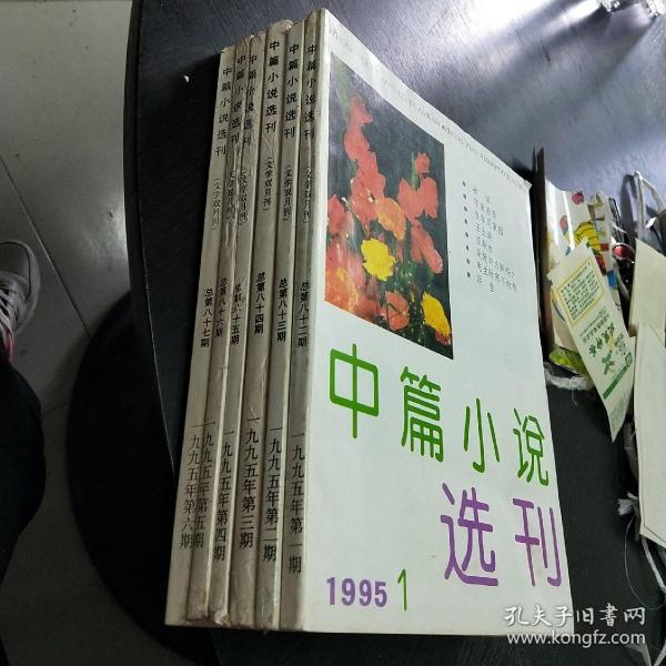 中篇小说选刊    1995年1-6期合售    包快递费