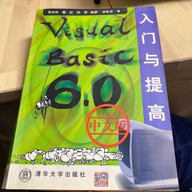 Visual Basic 6.0中文版入门与提高