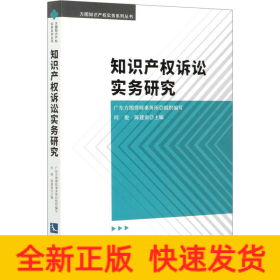 知识产权诉讼实务研究