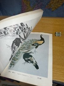 花鸟鱼技法问答