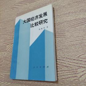 大国经济发展比较研究