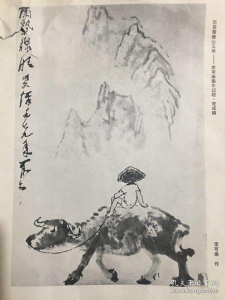 杂志插页：雨势骤雨山又绿一一李可染画牛过程-完成稿，背面：虎  张善孖