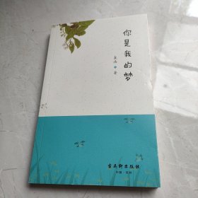 你是我的梦