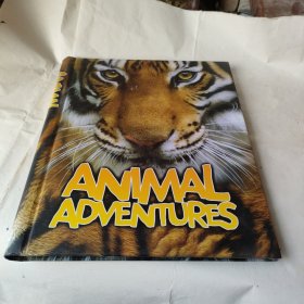 ANIMALADVENTURES