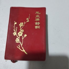 毛泽东诗词