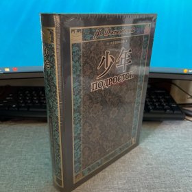少年（人民文学出版社臧仲伦译陀思妥耶夫斯基作品系列）