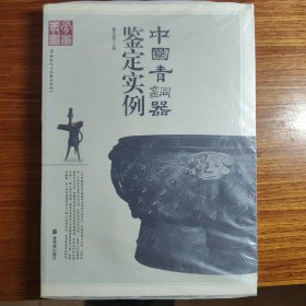 中国青铜器鉴定实例