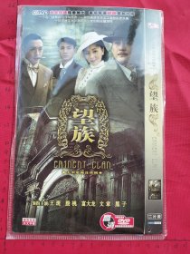 大型电视连续剧《 望族DVD 》2碟装完整版D9（王斑、殷桃、富大龙、黑子、主演）