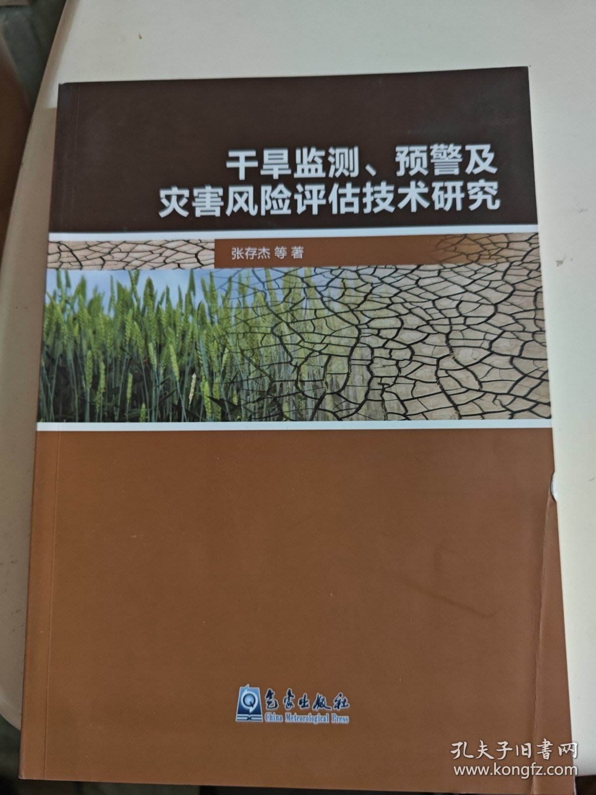 干旱监测、预警及灾害风险评估技术研究