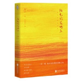 阳光打在地上(海子名诗美图版) 北京联合出版有限公司 9787559626523 海子