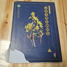 云南天然药物图鉴（第1卷）