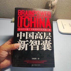 中国高层新智囊