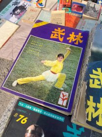 武林杂志创刊号1981年-19888年（83本）