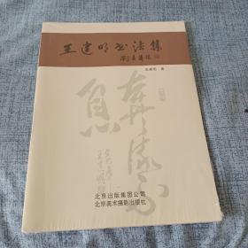 王建明书法集