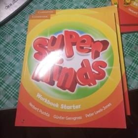 Super Minds Workbook Starter