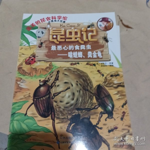 昆虫记·最恶心的食粪虫：嗡蜣螂、粪金龟