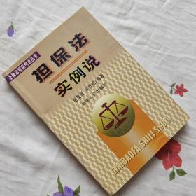 担保法实例说