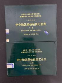 伊宁地区单位估价汇总表（上下册）全二册 2本合售 【全国统一建筑工程基础定额 新疆维吾尔自治区补充预算定额（一九九八年）1998年】