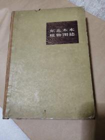 東北木本植物圖志（精裝）