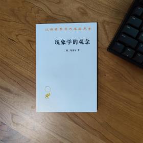 现象学的观念(汉译名著本17)