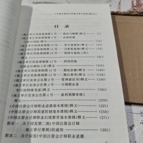 《中国注册会计师独立审计准则》释义.第二辑