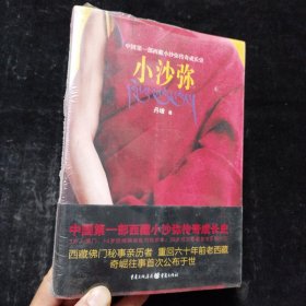 小沙弥 丹增 著 重庆出版社