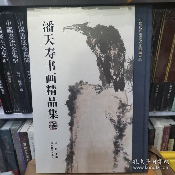 潘天寿书画精品集/中国历代书画名家精品大系