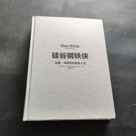 硅谷钢铁侠：埃隆·马斯克的冒险人生